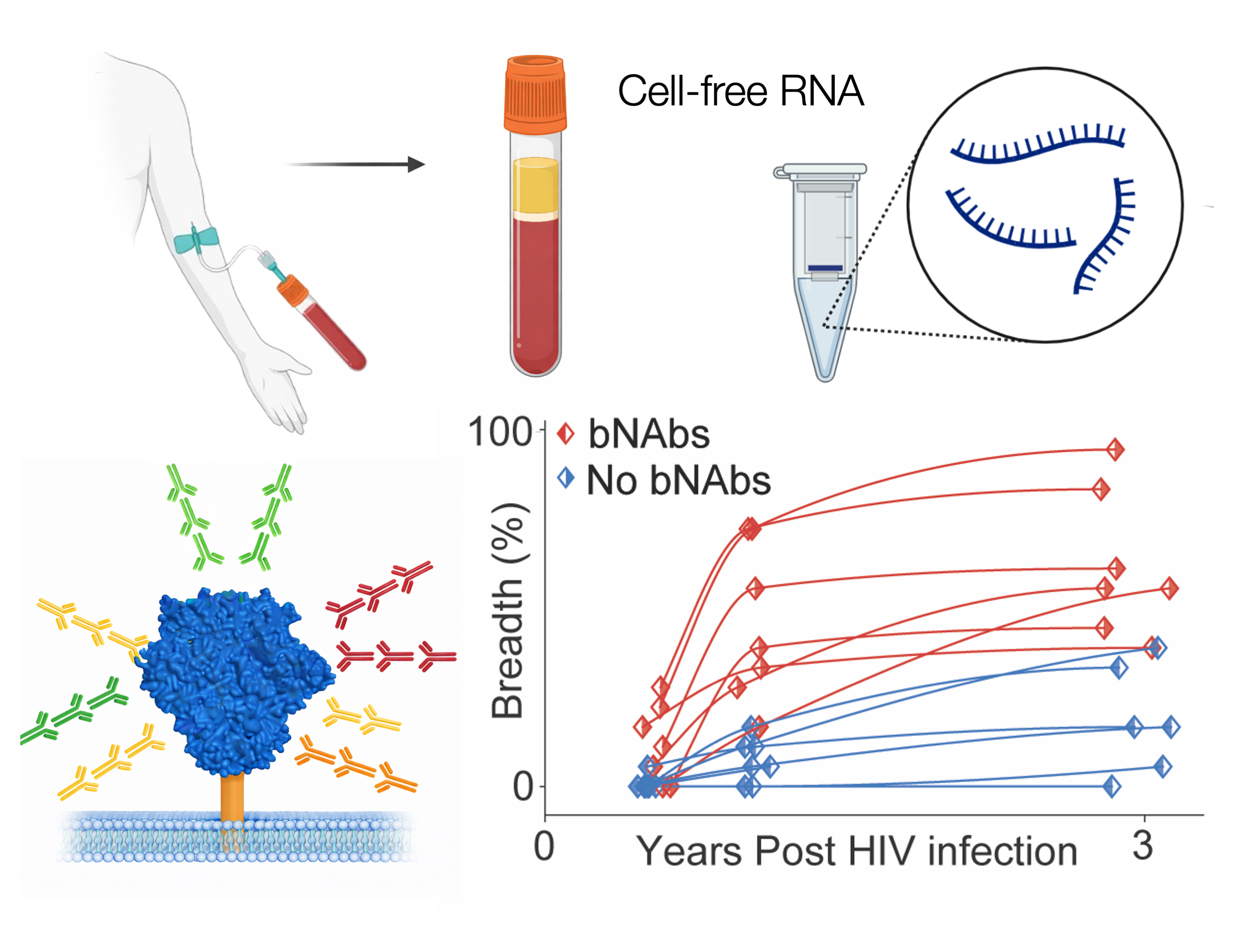 New Study Accepted in PLOS Pathogens